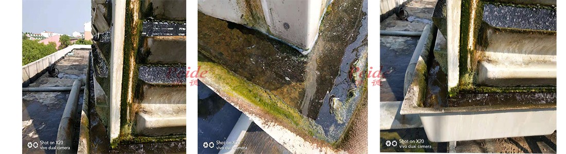 5271571627680421.jpg 現(xiàn)場圖.jpg