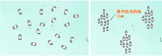 7161578532212229.png 圖片6.png