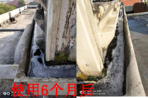 電子除垢設備 電子除垢設備