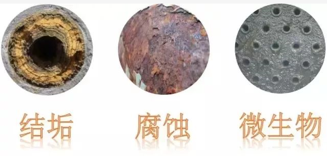 防除垢裝置 防除垢裝置