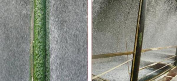 9501593743614871.jpg QQ圖片20200703103257.jpg