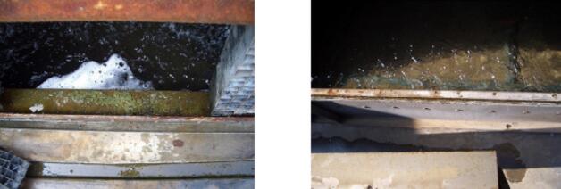 9701593745540846.jpg QQ圖片20200703105207.jpg